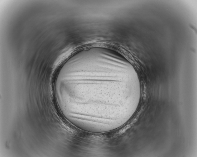 X0000094420245200711291556