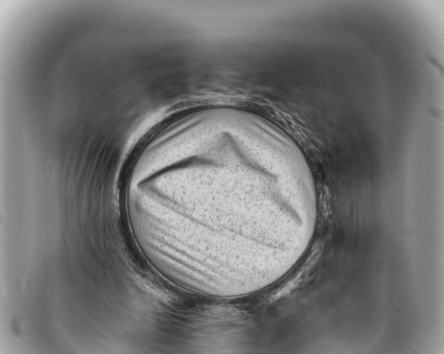 X0000094420246200711291556