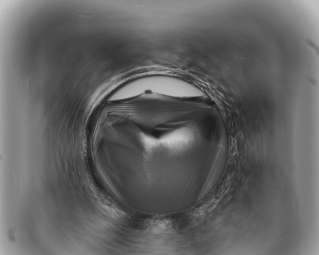 X0000094420247200711291556