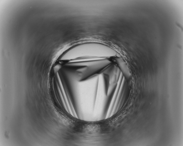 X0000094420248200711291556