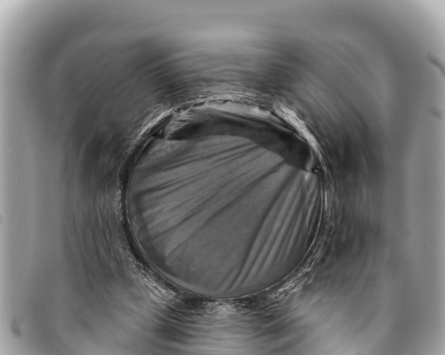 X0000094420249200711291556