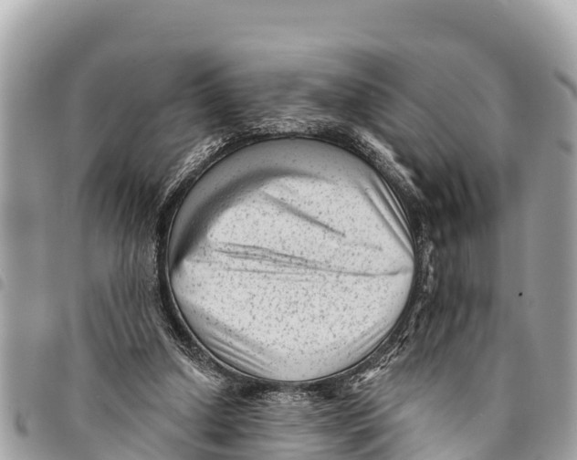 X0000094420250200711291556