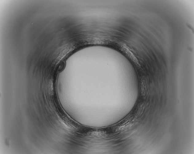 X0000094420251200711291556