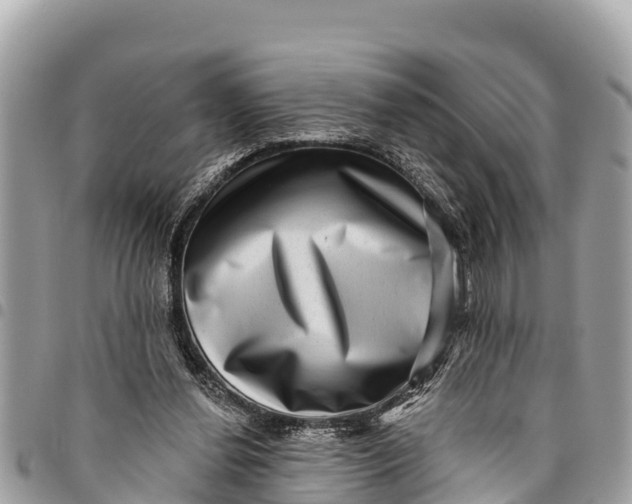 X0000094420252200711291557