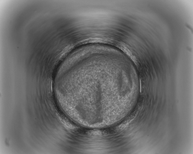 X0000094420253200711291557