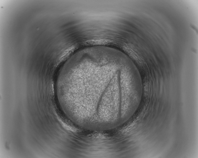 X0000094420254200711291557