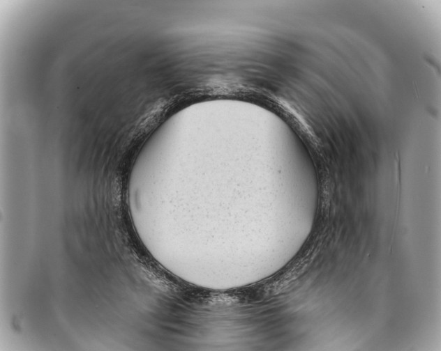 X0000094420257200711291557