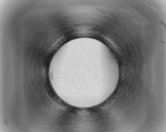 X0000094420258200711291557