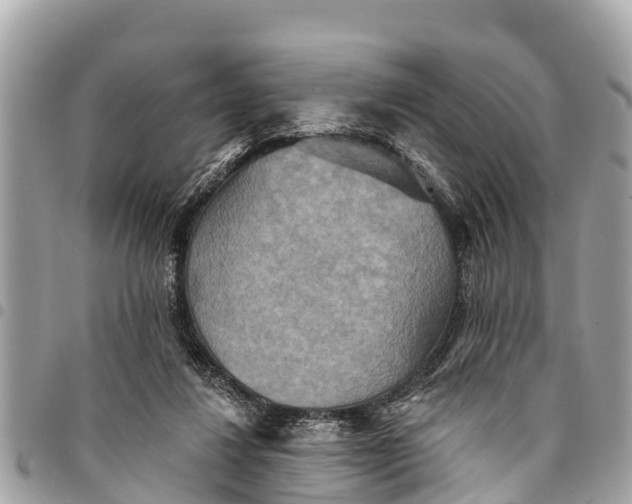 X0000094420260200711291557