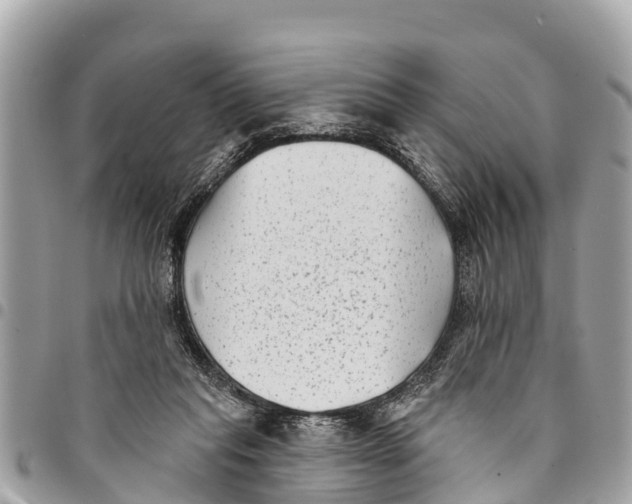 X0000094420261200711291557