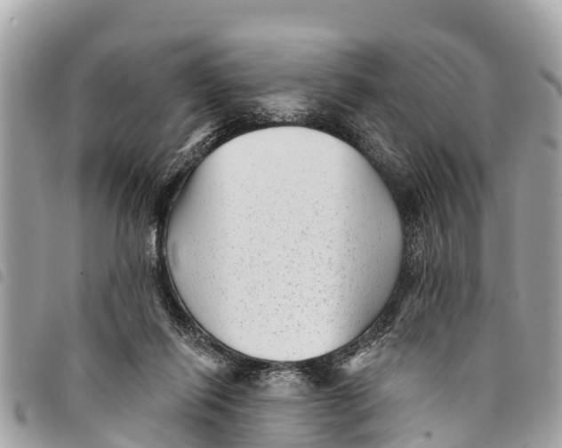 X0000094420262200711291557