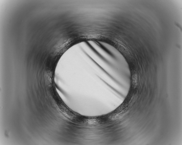 X0000094420264200711291557