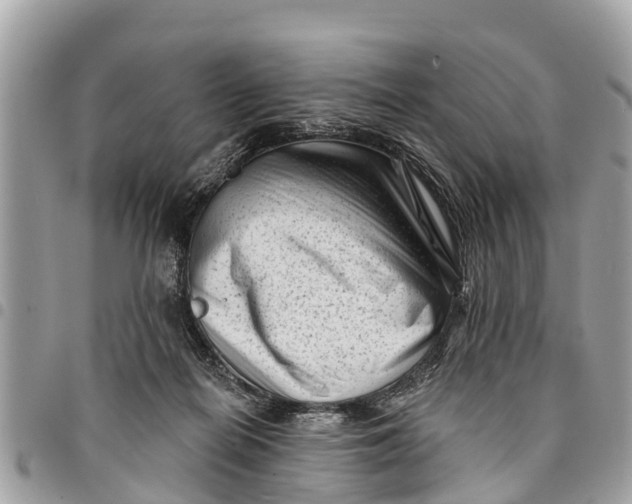 X0000094420266200711291557