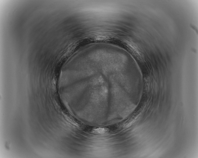 X0000094420269200711291557