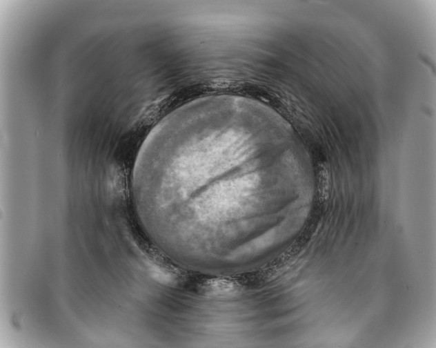 X0000094420272200711291557