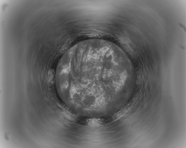 X0000094420273200711291557