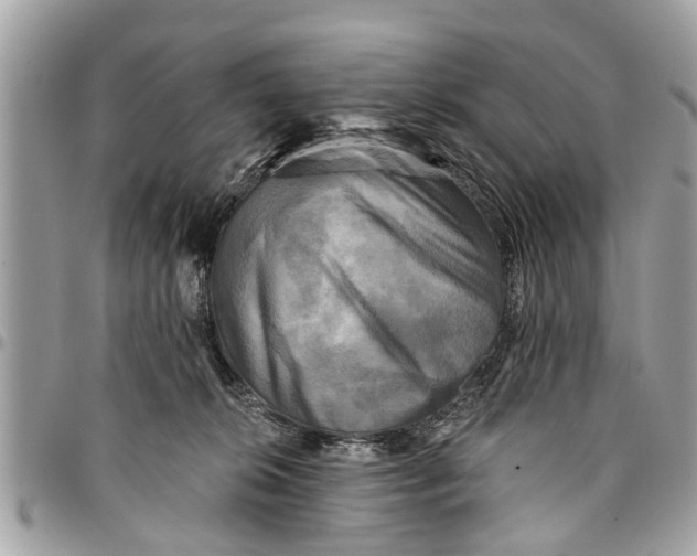 X0000094420276200711291557