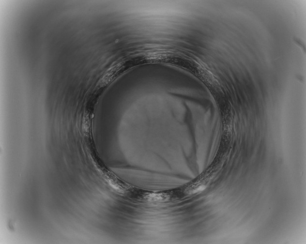 X0000094420277200711291557