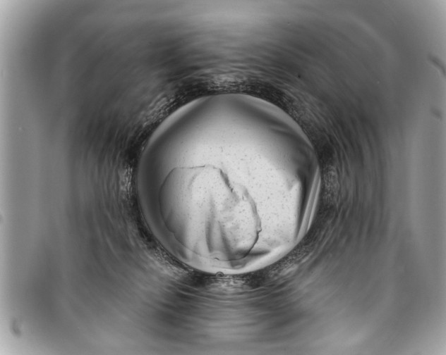 X0000094420278200711291557