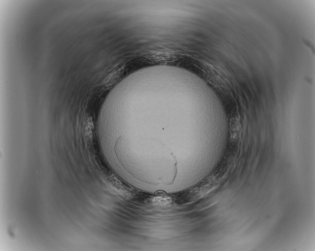 X0000094420279200711291557