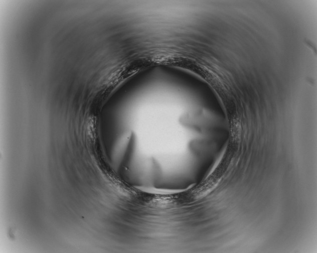 X0000094420280200711291557