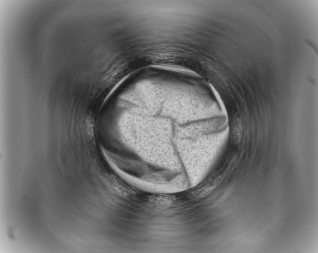 X0000094420282200711291557