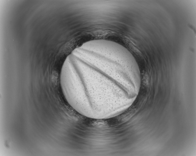 X0000094420283200711291557