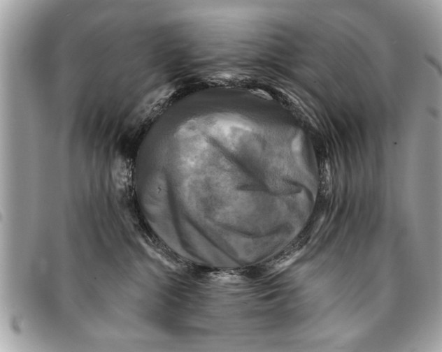 X0000094420284200711291557