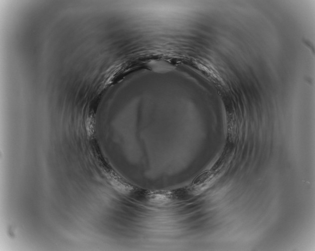 X0000094420285200711291557