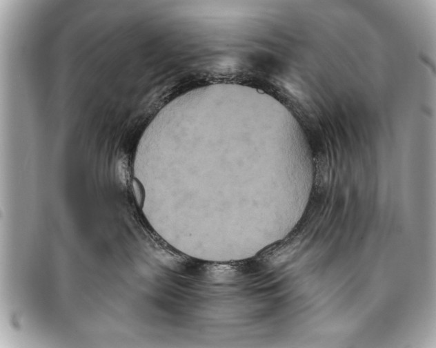 X0000094420287200711291557