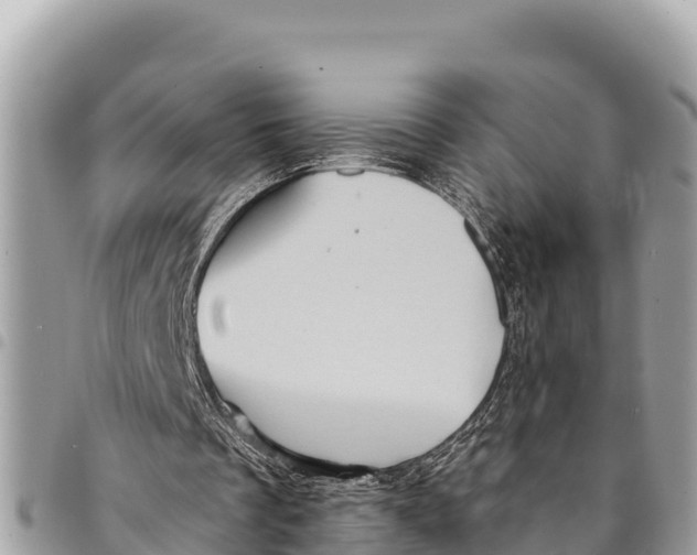 X0000094420289200711291556