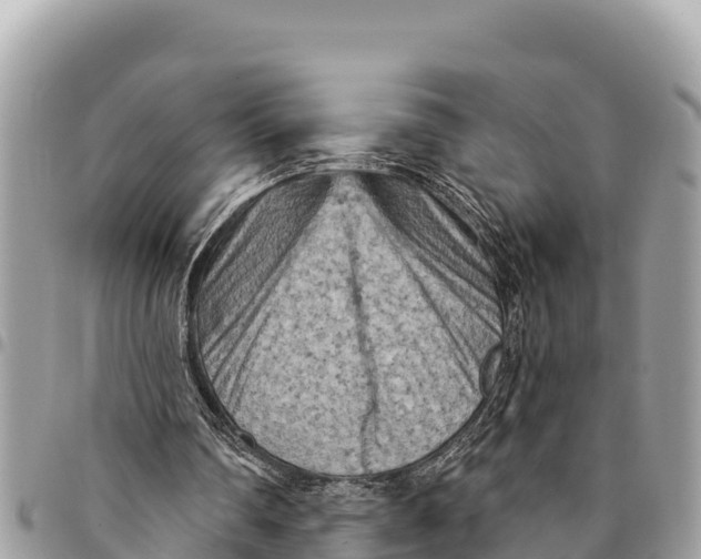 X0000094420290200711291556