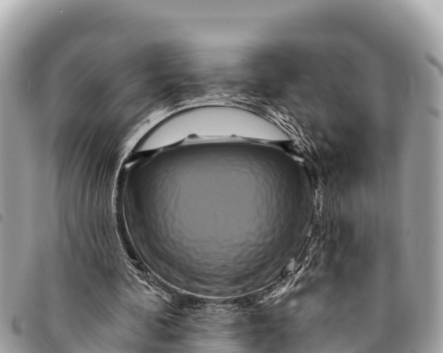 X0000094420292200711291556