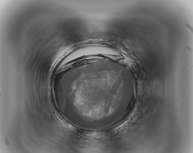 X0000094420293200711291556