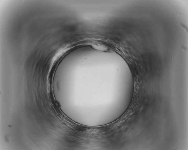 X0000094420294200711291556