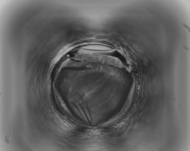 X0000094420295200711291556