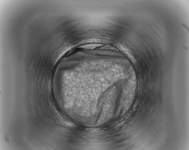 X0000094420297200711291556