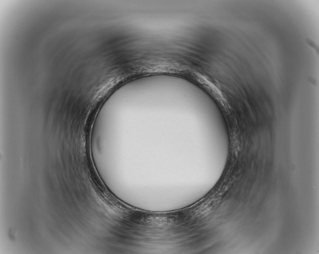 X0000094420298200711291556