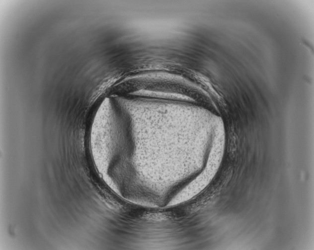 X0000094420299200711291556