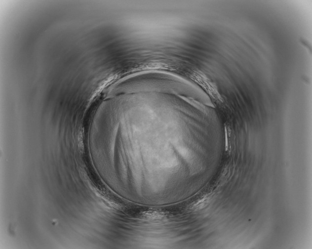 X0000094420300200711291556