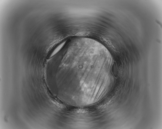 X0000094420303200711291556