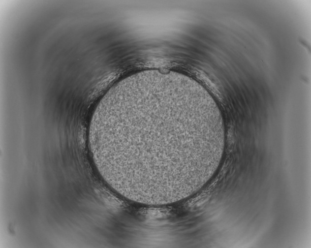 X0000094420305200711291556