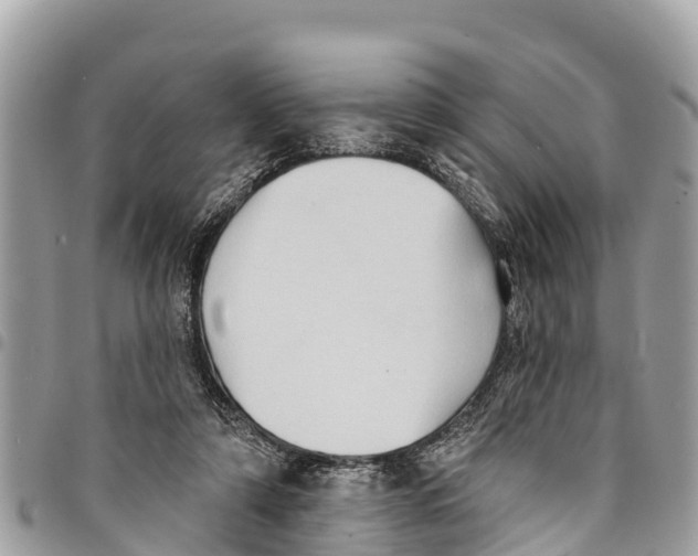 X0000094420306200711291556