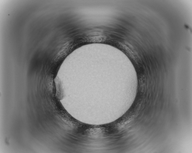 X0000094420307200711291556