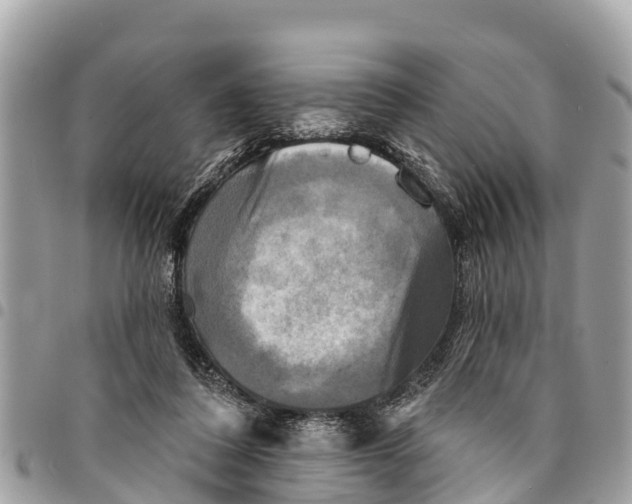 X0000094420308200711291556