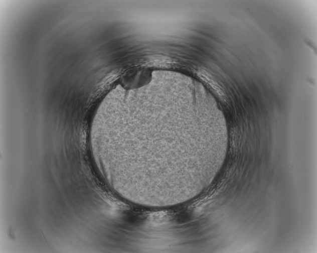 X0000094420309200711291556