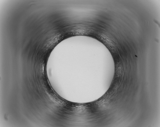 X0000094420310200711291556