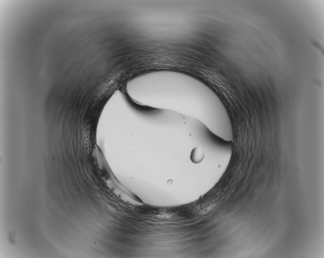 X0000094420312200711291556