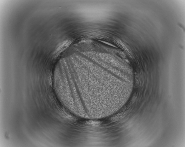 X0000094420313200711291556