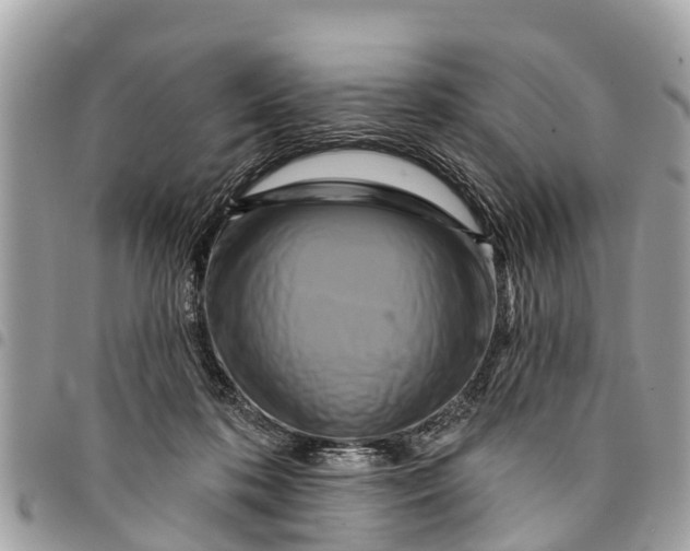 X0000094420316200711291556